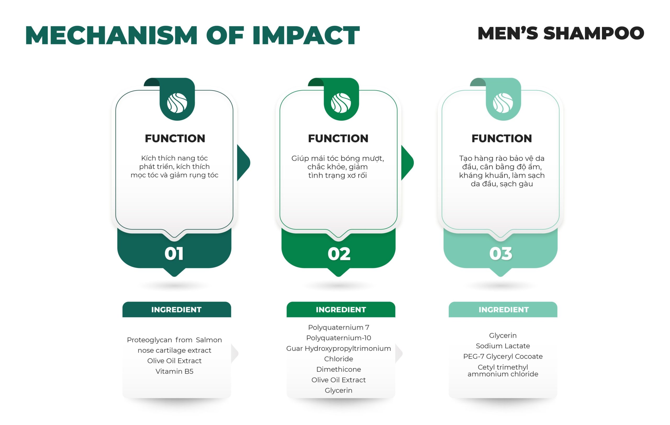 mechanism of impact 2