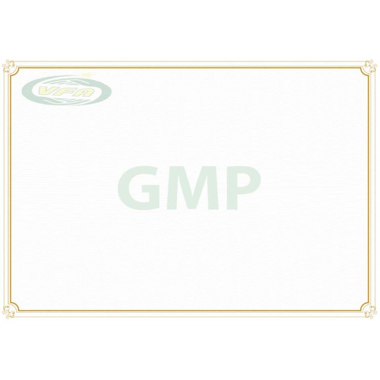 giấy chứng nhận gmp nhà máy bigfa